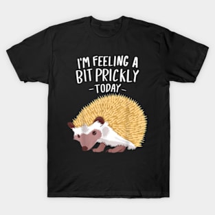Prickly Today Hedgehogs Clothes Outfit Art Gift Hedgehog T-Shirt